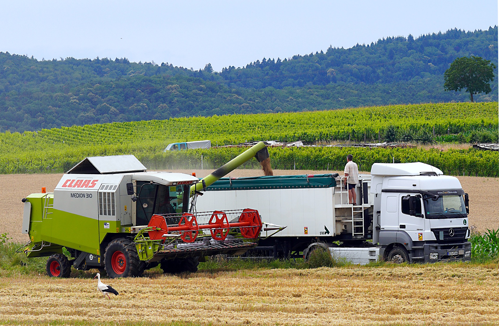 Identify and Mention Logging Vehicles on IRS 2290 Identify and Mention Logging Vehicles on IRS 2290